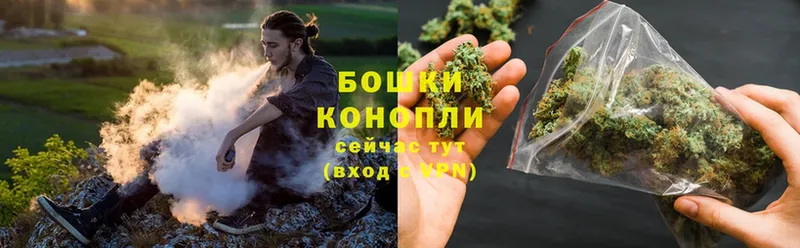 Бошки Шишки THC 21%  omg ONION  Емва 